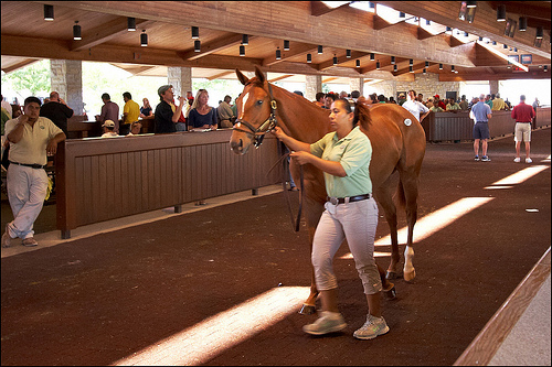 Earle Mack Colt is the Highest Prize at Keeneland